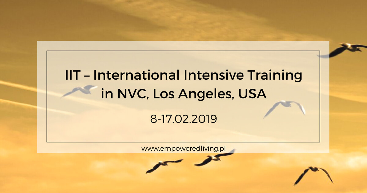 IIT International Intensive Training in NVC USA