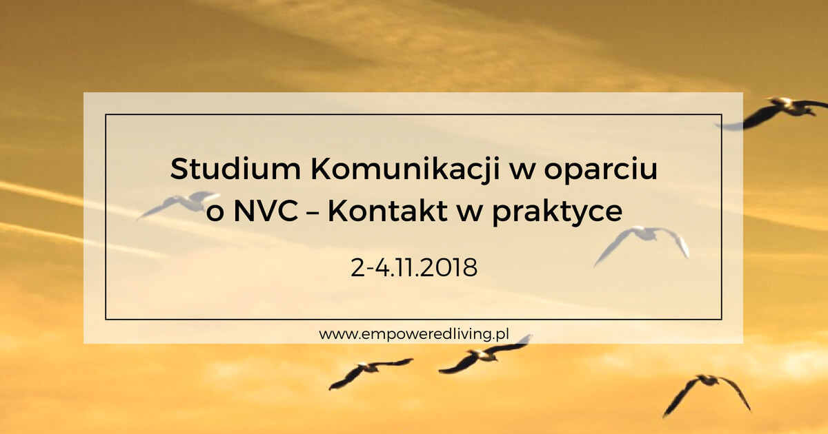 Kontakt w praktyce